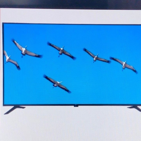 Telvizor LG 32 EM550