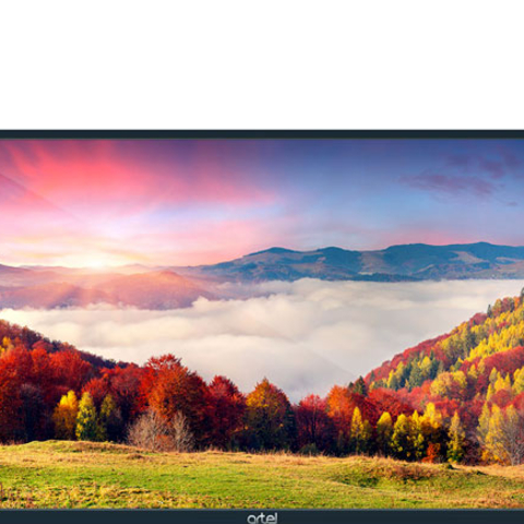 Premier Andiroid 55 LI